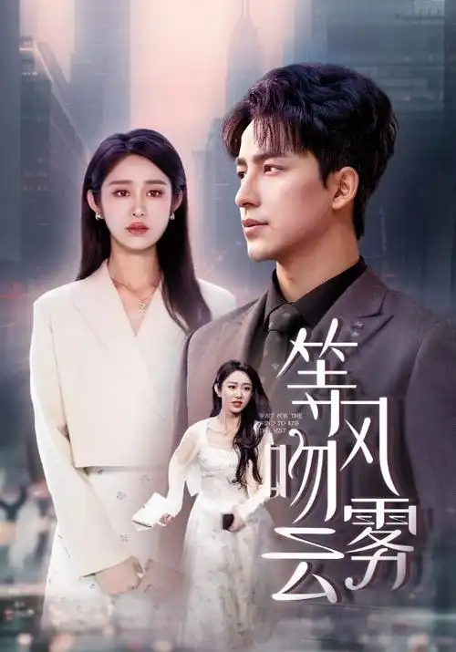 第九个证人热播电视剧全集在线观看